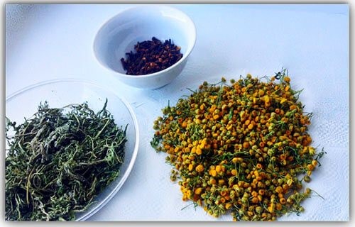 Применение тройчатки для избавления от паразитов Применение тройчатки для избавления от паразитов