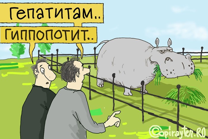 Эффективность таблеток для печени Эффективность таблеток для печени