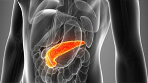 Причины возникновения панкреатита Причины возникновения панкреатита