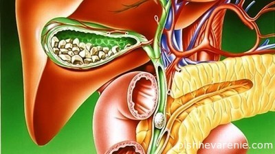 Характерные симптомы заболеваний желчного пузыря и поджелудочной железы Характерные симптомы заболеваний желчного пузыря и поджелудочной железы