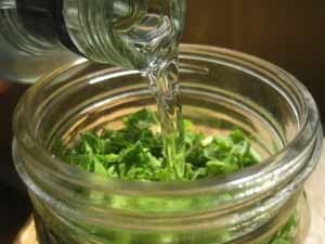 Борьба с рефлюкс-гастритом и его лечение народными средствами Борьба с рефлюкс-гастритом и его лечение народными средствами