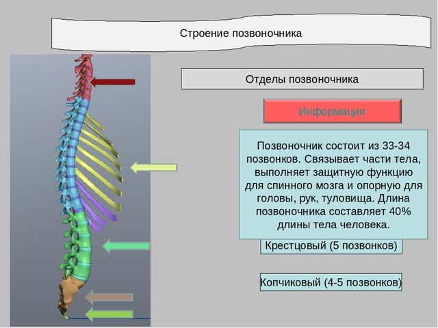 Снимок пояснично крестцового отдела позвоночника Снимок пояснично крестцового отдела позвоночника