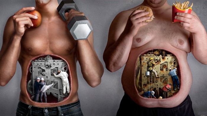 Что может быть полезно для поджелудочной железы? Что может быть полезно для поджелудочной железы?