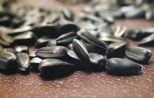 Семечки подсолнуха при диабете 2 типа Семечки подсолнуха при диабете 2 типа