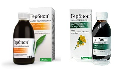 Гербион от сухого кашля: состав, действие препарата и аналоги Гербион от сухого кашля: состав, действие препарата и аналоги