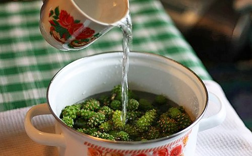 Использование сосновых шишек в лечении инсульта Использование сосновых шишек в лечении инсульта