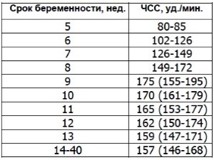 Норма сердцебиения плода по неделям Норма сердцебиения плода по неделям