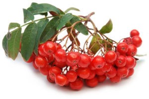 Причины и лечение тяжести в желудке Причины и лечение тяжести в желудке