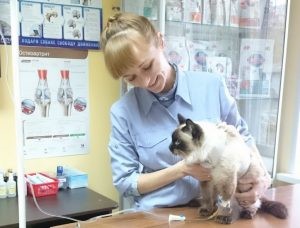 Стоит ли волноваться из-за черных крупинок в кале Стоит ли волноваться из-за черных крупинок в кале