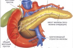 Реактивные изменения поджелудочной железы у ребенка причины Реактивные изменения поджелудочной железы у ребенка причины