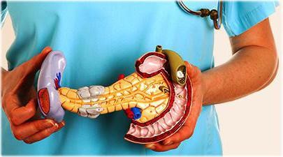 Как быть, если у вашего ребенка увеличена поджелудочная железа? Как быть, если у вашего ребенка увеличена поджелудочная железа?