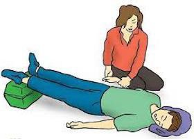 Особенности паренхиматозного кровотечения и его остановка Особенности паренхиматозного кровотечения и его остановка