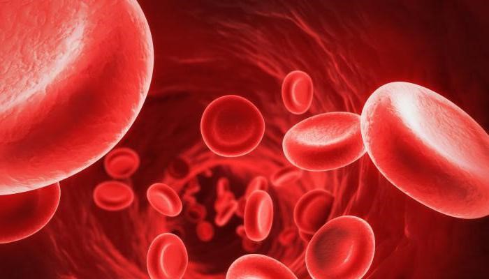 Особенности паренхиматозного кровотечения и его остановка Особенности паренхиматозного кровотечения и его остановка