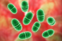 Болит мочевой пузырь Болит мочевой пузырь