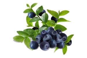 Панкреатит проявление заболевания поджелудочной железы Панкреатит проявление заболевания поджелудочной железы