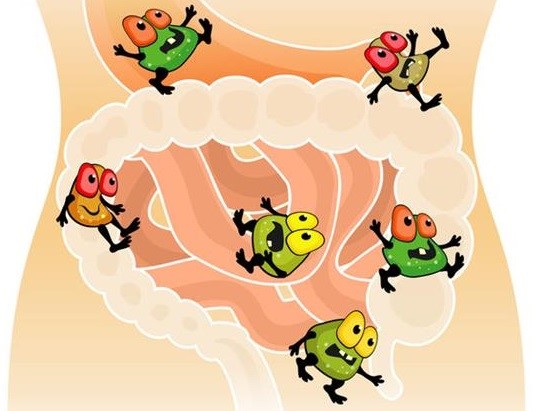 Восстановление флоры после антибиотиков: как и чем? Восстановление флоры после антибиотиков: как и чем?