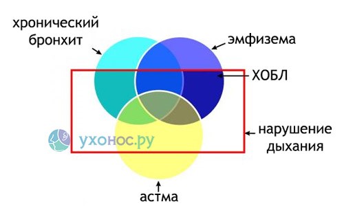 Как и почему возникает ХОБЛ? Как и почему возникает ХОБЛ?