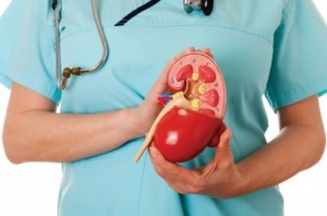 Лечение печени натуральным препаратом Хофитол Лечение печени натуральным препаратом Хофитол