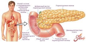 Высыпания на коже при болезни поджелудочной железы Высыпания на коже при болезни поджелудочной железы