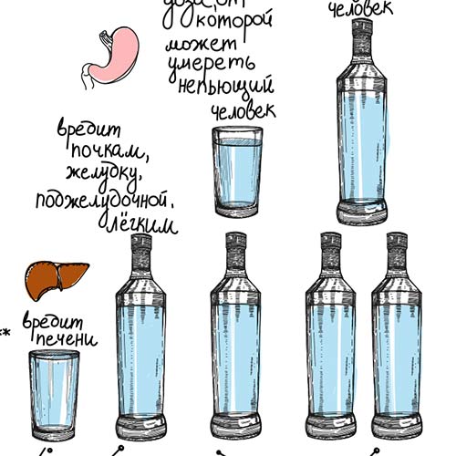 Алкоголь и кишечник. Можно ли алкоголь при дисбактериозе кишечника Алкоголь и кишечник. Можно ли алкоголь при дисбактериозе кишечника