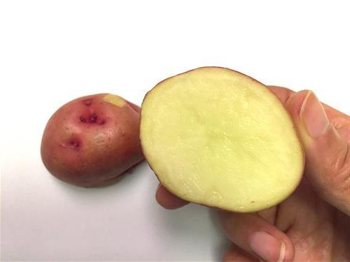 картофельный сок при гастрите с повышенной кислотностью