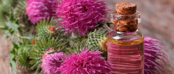 расторопша при панкреатите