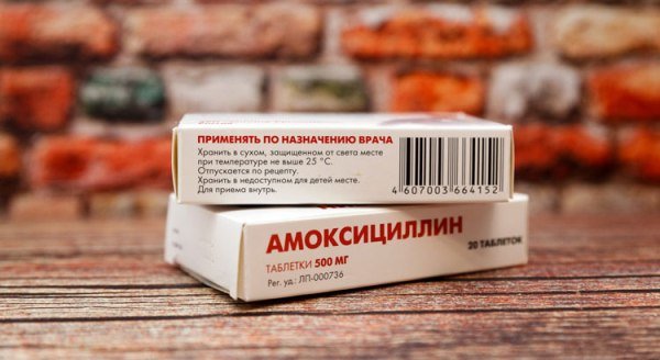 Прием амоксициллина при гастрите