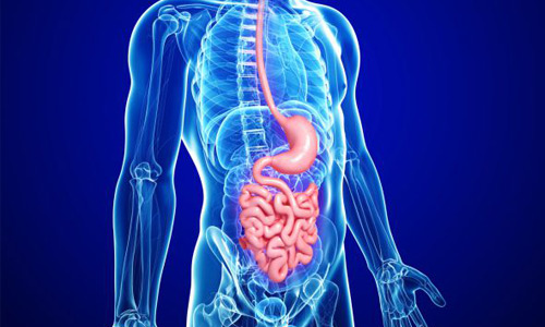 боль в желудке причины