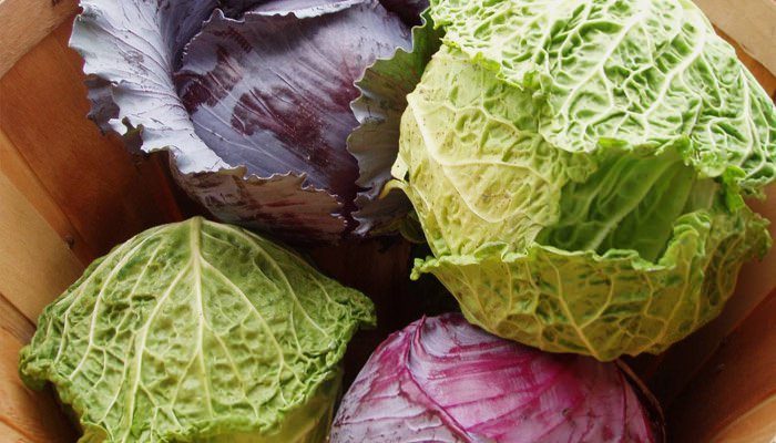 В чем польза капусты при язве желудка В чем польза капусты при язве желудка