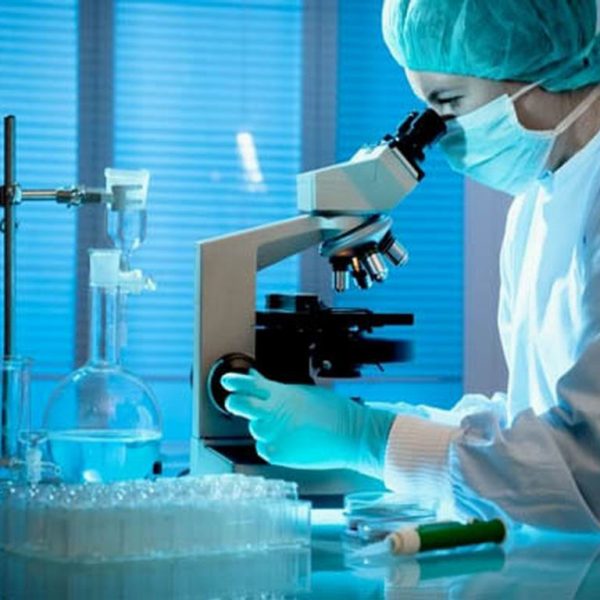 Лабораторные анализы