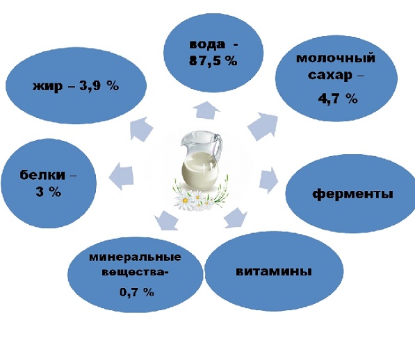 Состав молока