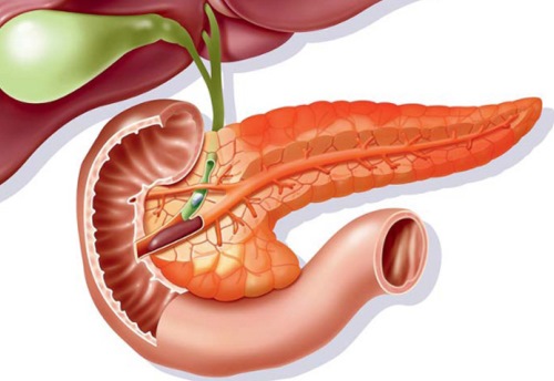 Реактивные изменения поджелудочной железы у ребенка